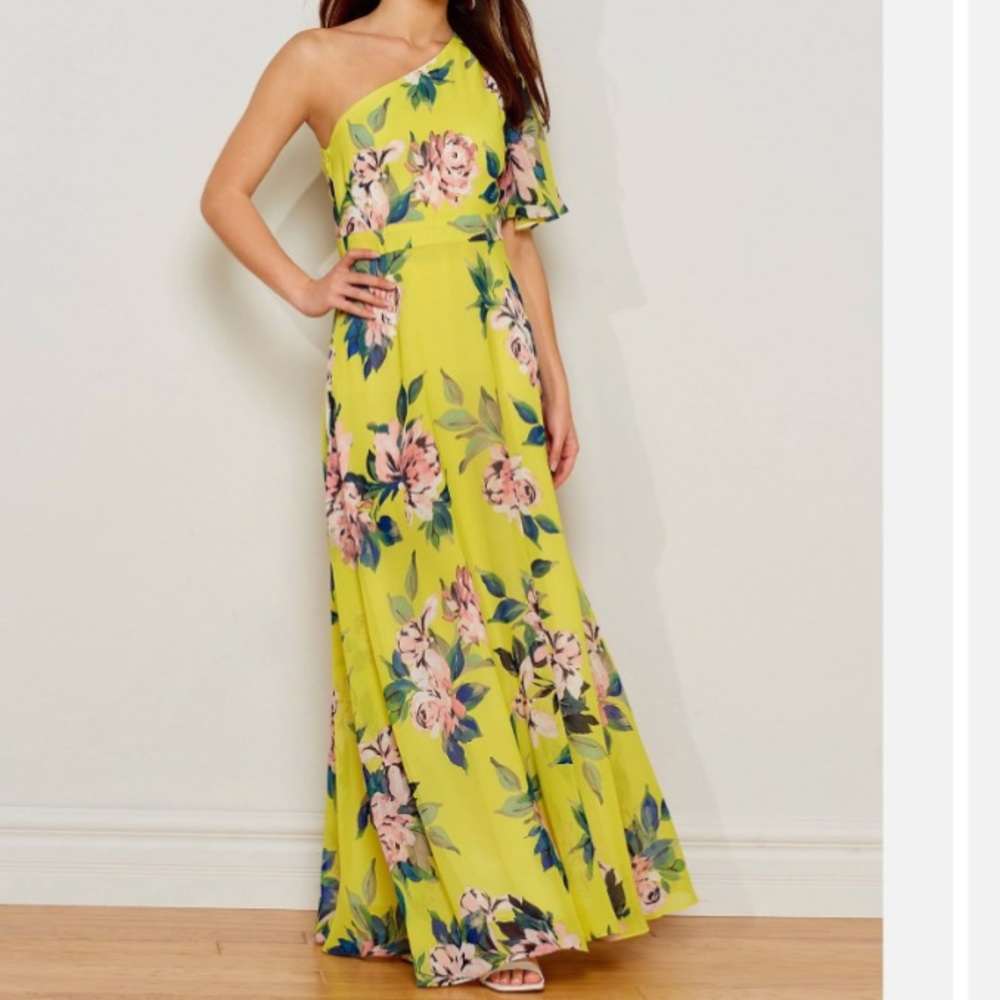 NWOT Eliza J one shoulder floral maxi